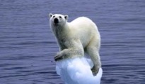 Global Warming